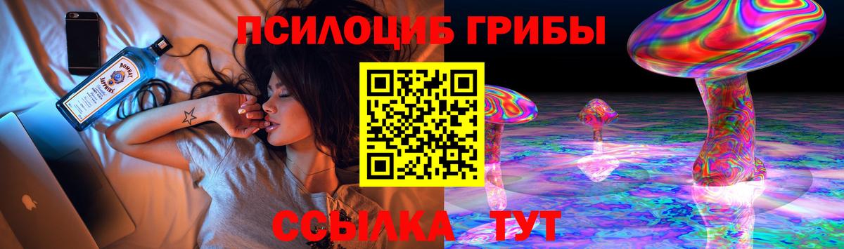 Галлюциногенные грибы Psilocybe  магазин    Карачаевск  Вход с VPN  Псилоцибиновые грибы прущие грибы 