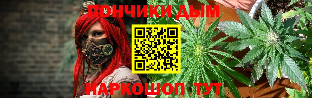 Каннабис OG Kush Карачаевск
